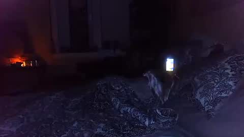 Amber White online show from October 29, 2025, 3:20 am