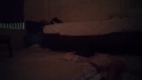 Snapshot of tsgoddessdani chatting on May 13, 2026, 8:34 am tsgoddessdani online show from May 13, 2026, 8:34 am