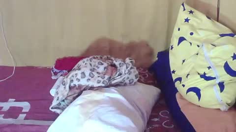 carmella online show from October 11, 2025, 2:00 am