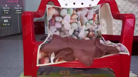 Snapshot of tulip_sexxy chatting on September 26, 2025, 12:03 am tulip_sexxy online show from September 26, 2025, 12:03 am