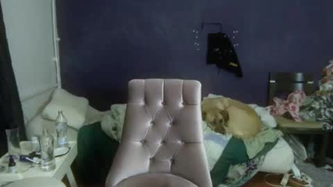 turkishtranswithsurgery online show from December 20, 2025, 1:51 pm