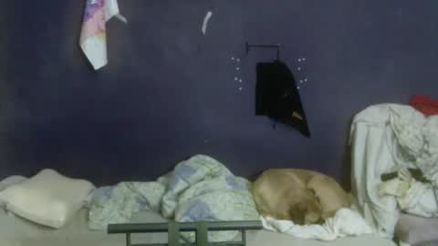 turkishtranswithsurgery online show from April 12, 2026, 8:47 pm