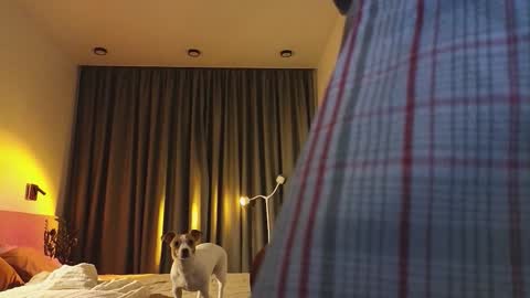 Ariana online show from December 3, 2025, 9:46 pm