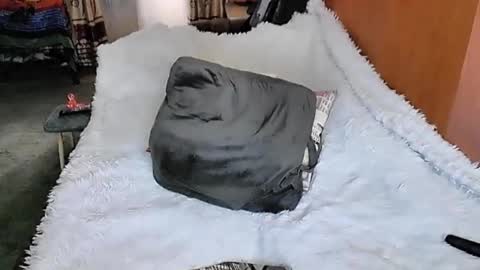 Lana online show from March 11, 2025, 1:37 am