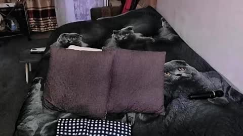 Lana online show from September 20, 2025, 10:55 pm