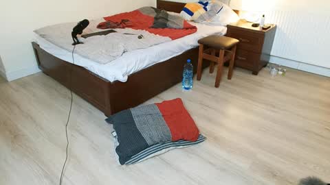 Vicky  Victor online show from December 12, 2024, 3:54 am