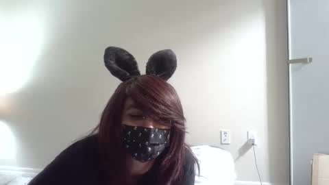 Snapshot of twinkyteddy chatting on October 8, 2025, 10:07 pm twinkyteddy online show from October 8, 2025, 10:07 pm