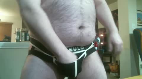 Bear online show from February 22, 2025, 4:40 am