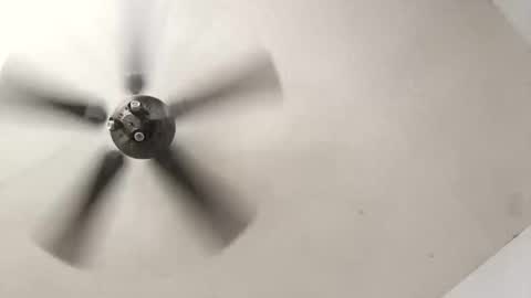 Aldo rasid online show from October 19, 2025, 5:35 pm