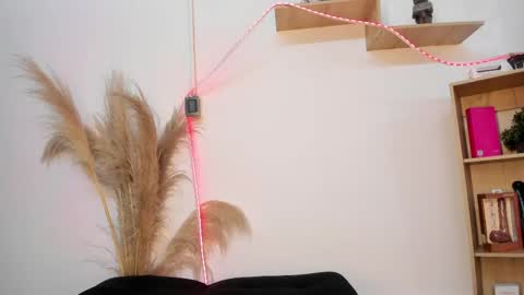 Snapshot of tylla__ chatting on April 27, 2026, 8:56 am tylla__ online show from April 27, 2026, 8:56 am