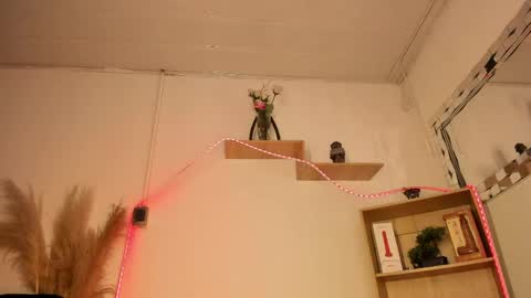 Snapshot of tylla__ chatting on May 9, 2026, 4:50 am tylla__ online show from May 9, 2026, 4:50 am