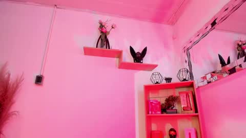 Snapshot of tylla__ chatting on May 17, 2026, 8:49 pm tylla__ online show from May 17, 2026, 8:49 pm