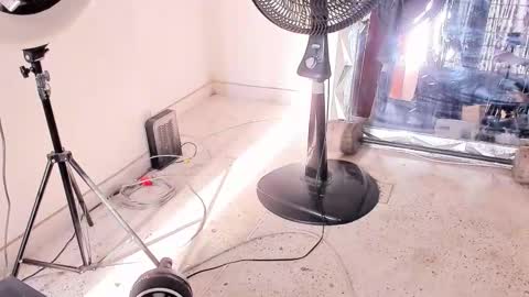 Dvid Rullers online show from December 14, 2025, 12:54 pm