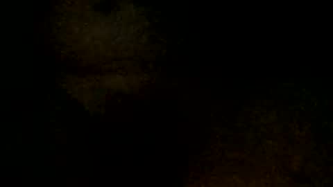 tystickk66 online show from January 6, 2025, 9:52 am