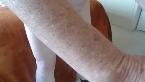 Uncle online show from April 21, 2026, 8:53 am