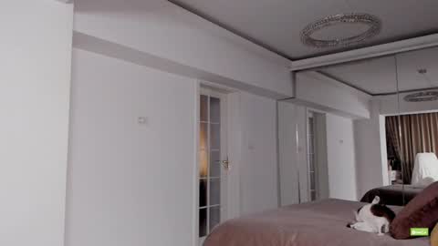 Snapshot of unforgettable_s chatting on December 15, 2024, 5:42 pm Silvia online show from December 15, 2024, 5:42 pm