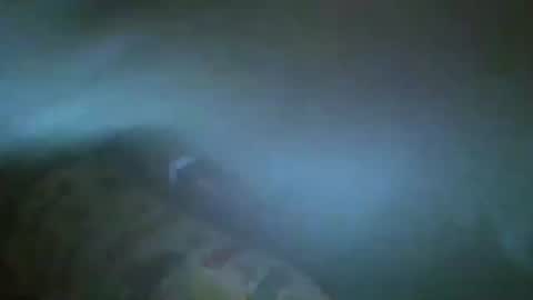 Snapshot of unicorn765vcxv chatting on June 21, 2026, 1:41 am unicorn765vcxv online show from June 21, 2026, 1:41 am