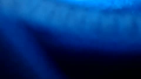 Snapshot of urasian_pinayjessaxxx chatting on July 8, 2026, 7:13 am urasian_pinayjessaxxx online show from July 8, 2026, 7:13 am