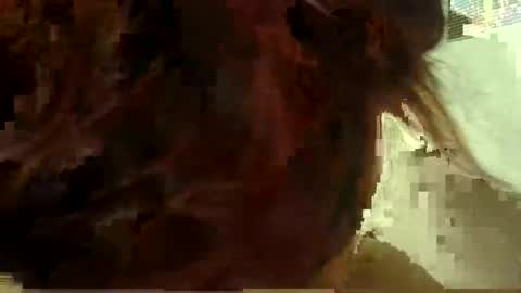 Aniie online show from January 11, 2026, 5:12 am