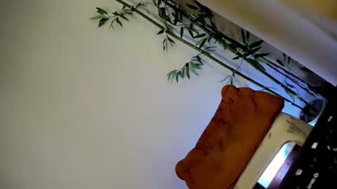 ursashafucker69 online show from December 3, 2024, 10:17 am