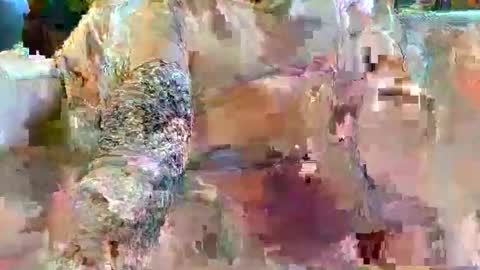 Snapshot of urukai79 chatting on February 17, 2026, 12:45 pm urukai79 online show from February 17, 2026, 12:45 pm