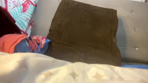 valencutt online show from February 26, 2026, 12:04 pm