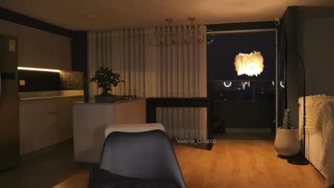 Snapshot of valeria_orozco chatting on January 4, 2025, 11:17 pm valeria_orozco online show from January 4, 2025, 11:17 pm