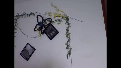valery_honey_ online show from June 2, 2026, 1:18 am