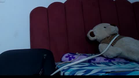 Snapshot of valerybaker1 chatting on December 13, 2024, 3:05 am B V Naughty online show from December 13, 2024, 3:05 am