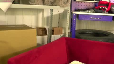 Vance online show from February 26, 2025, 7:42 am