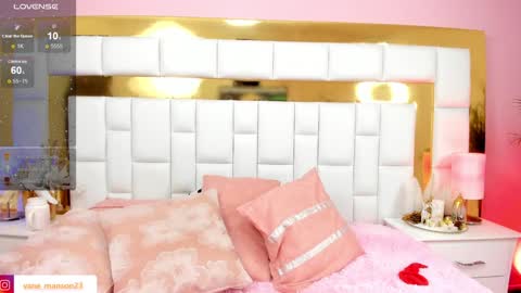 vane_manson online show from December 27, 2024, 4:21 pm