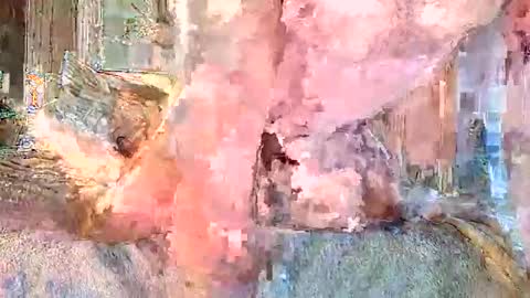 vanillasnackpack007 online show from February 3, 2026, 5:40 pm