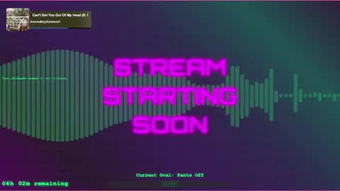 vannivr online show from January 26, 2025, 2:56 am