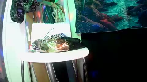 vegasmd online show from February 27, 2025, 11:04 pm