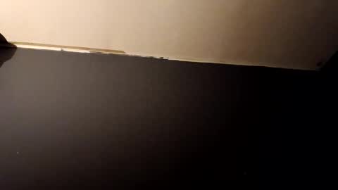 vegeto222 online show from November 23, 2025, 2:39 pm