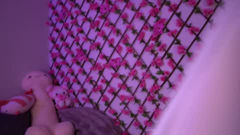 Polly online show from November 4, 2025, 6:18 pm