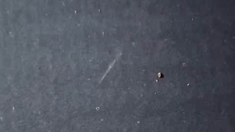 velvetsolez online show from March 22, 2026, 9:29 pm