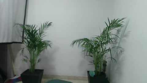 vennus6969 online show from March 5, 2025, 1:10 am