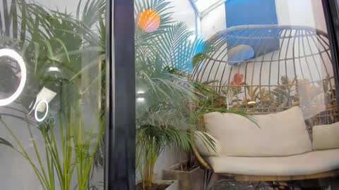 Snapshot of venus_flame chatting on November 20, 2025, 11:43 am VENUS online show from November 20, 2025, 11:43 am