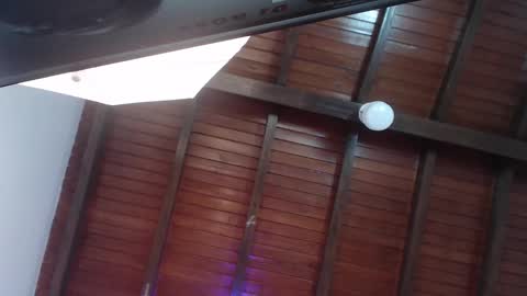 Snapshot of venusevans1 chatting on February 23, 2025, 12:19 am Venus Evans online show from February 23, 2025, 12:19 am