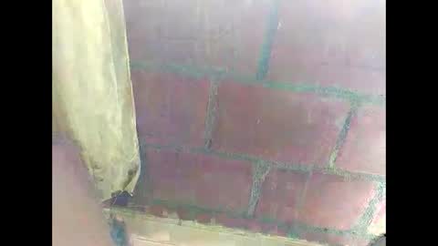 ver_gonblack online show from December 22, 2024, 4:59 pm