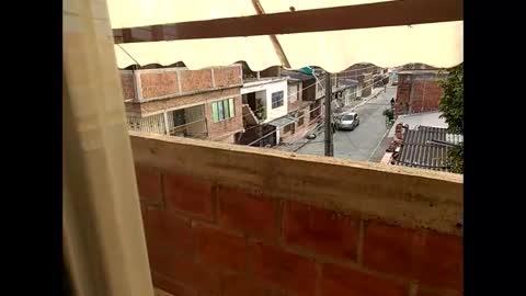 ver_gonblack online show from January 20, 2025, 12:28 pm