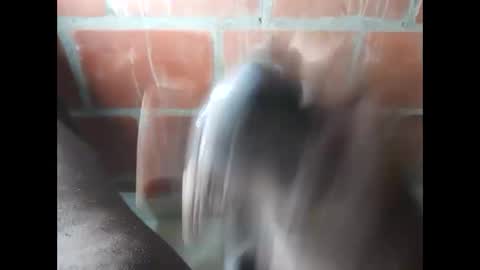 ver_gonblack online show from September 25, 2025, 11:52 pm