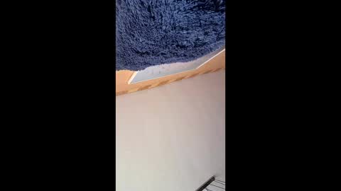 veronika456 online show from June 4, 2026, 7:58 am