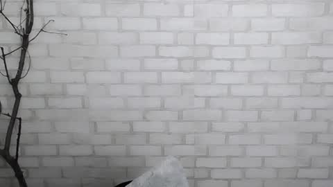 Ana online show from December 28, 2024, 3:59 pm