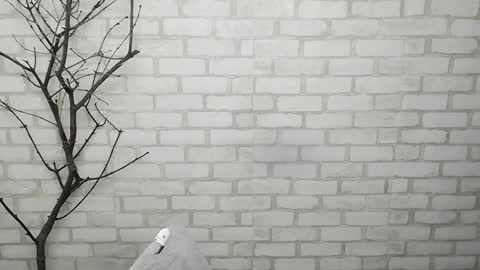 Ana online show from February 3, 2025, 2:34 pm