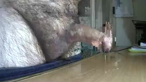 VictorHume online show from March 6, 2025, 11:42 pm