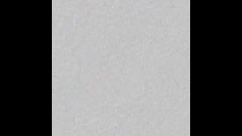 Victoria Collins online show from January 14, 2026, 12:00 pm