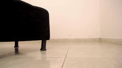 Victoria online show from January 21, 2025, 3:10 pm