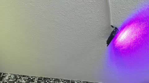 Viiolett online show from September 17, 2025, 4:19 pm